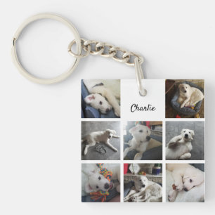 Puppy Photo Collage Cute Dog ou Pet