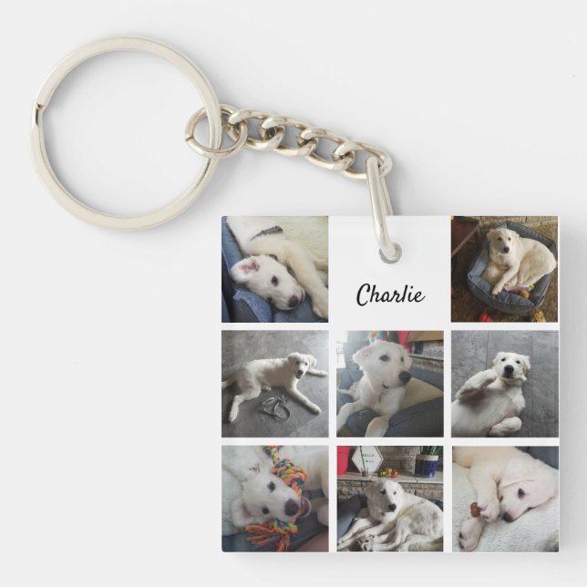 Puppy Photo Collage Cute Dog ou Pet (Devant)