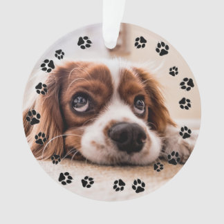 Puppy Photo Pawprints Ornement