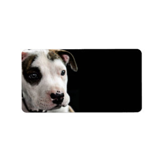 Puppy Pit Bull T-Bone Adressaufkleber