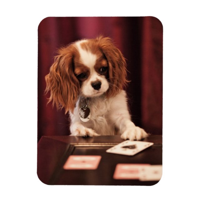 Puppy Plays Cards Magnet (Vertikal)