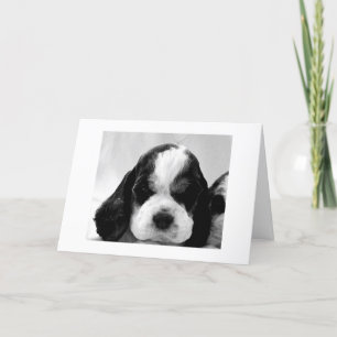 PUPPY SAYS "SAY IT ISN'T SO" 30th BIRTHDAY Karte