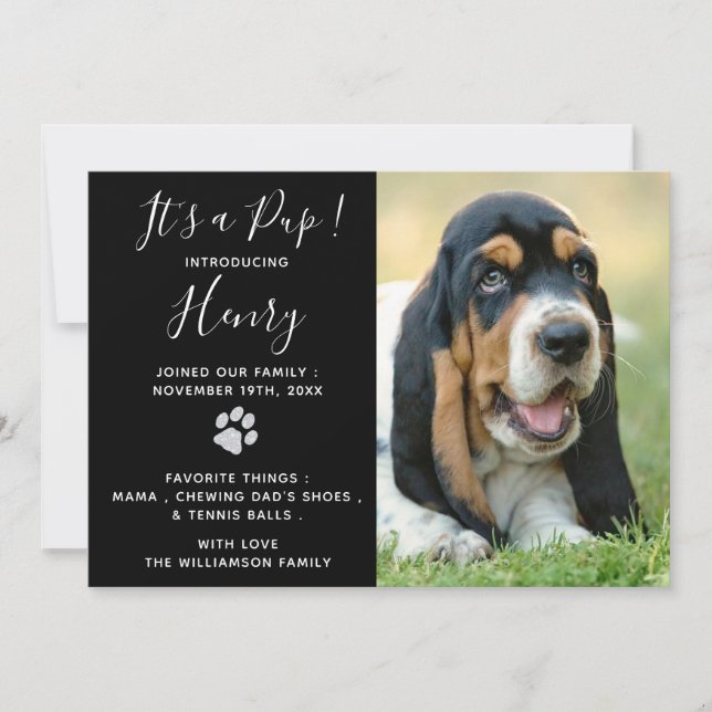 Puppy Shower Party - Elegantes, modernes Schwarzes Einladung (Vorderseite)