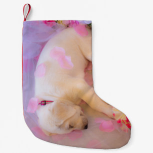 Puppy Sleepy Veil 01 Kleiner Weihnachtsstrumpf