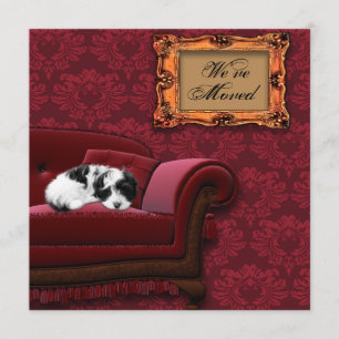 Puppy Sofa Änderung der Adresse Postkarten