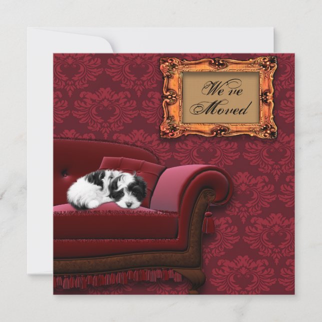 Puppy Sofa Änderung der Adresse Postkarten (Vorderseite)