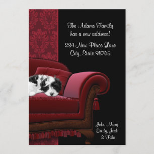 Puppy Sofa Änderung der Adresse Postkarten