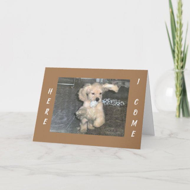 PUPPY SPANIEL KANN NICHT WARTEN, ZU SAGEN *GLÜCKLI KARTE (Vorderseite)