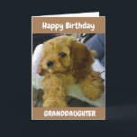 PUPPY WISHES for **GRANDDAUGHTER** GEBURTSTAGSKART Karte<br><div class="desc">VIELEN DANK,  DASS SIE VON EINER MEINER ACHT GESCHICHTEN GESCHAFFEN HABEN!!!</div>