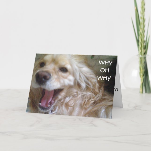 "PUPPY WOES" BELATED GEBURTSTAG KARTE (Vorderseite)