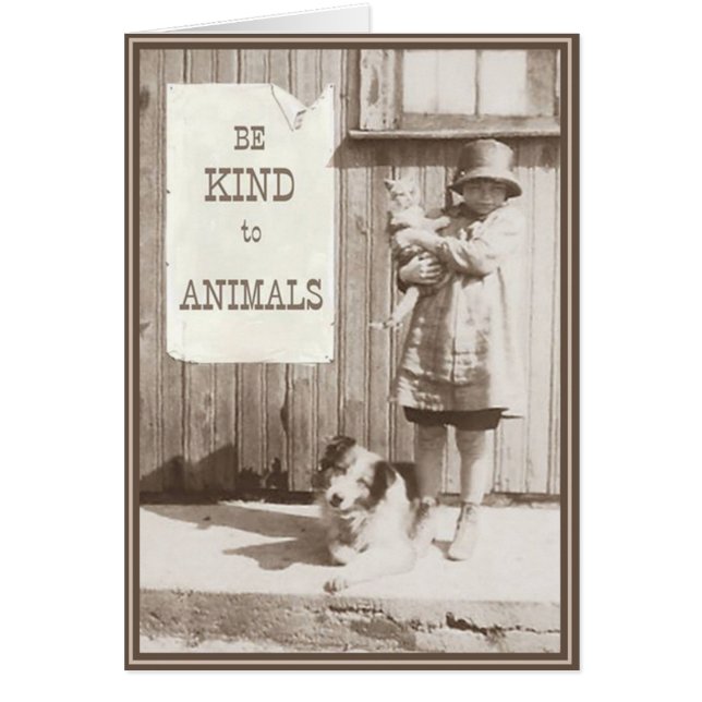 PUPs Card Kitties 10 (Devant)