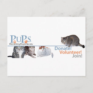 PUPs-Logo-Werbematerial mit Katzen Postkarte