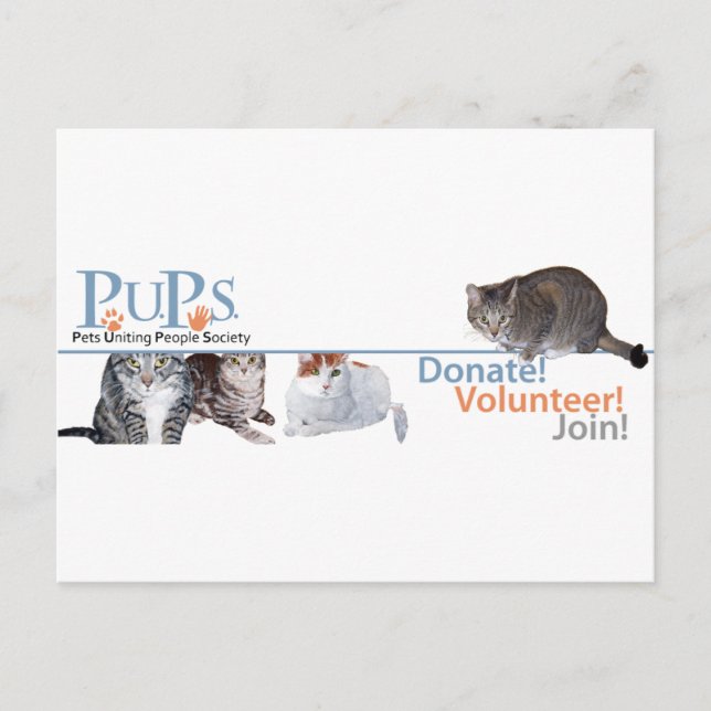 PUPs-Logo-Werbematerial mit Katzen Postkarte (Vorderseite)