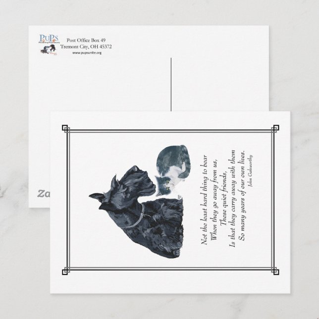 PUPS-Mitleidskarte Postkarte (Vorne/Hinten)