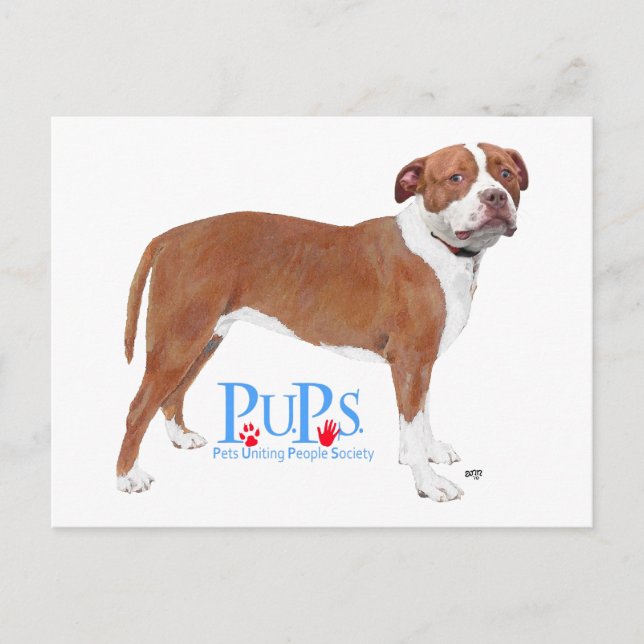 PUPs Retcued Pit Bull Postkarte (Vorderseite)