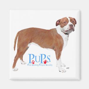 PUPs rettet Pit Bull Magnet