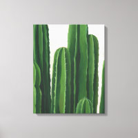 Pura Vida - Cacti-Gruppe