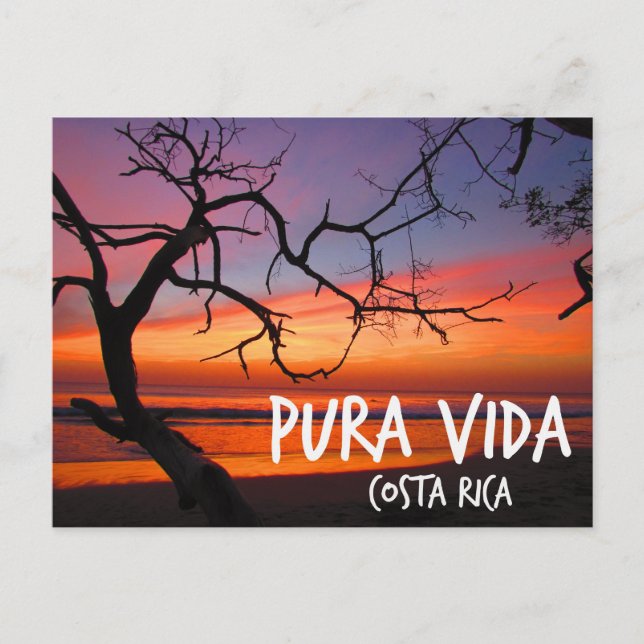 Pura Vida Costa Rica Beach Sunset Postkarte (Vorderseite)