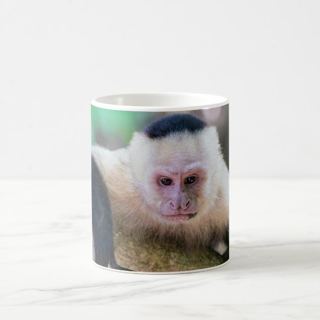 Pura vida für den weißen Kapuzineraffen Kaffeetasse (Mittel)