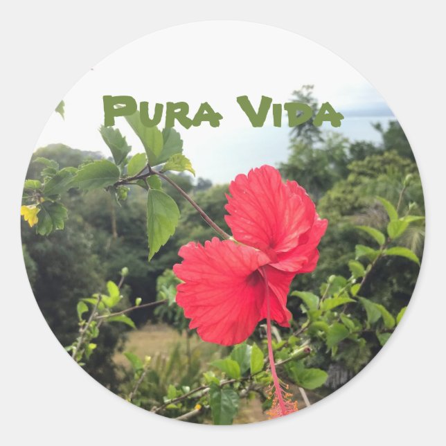 Pura Vida mit Hibiskus Sticker (Vorderseite)