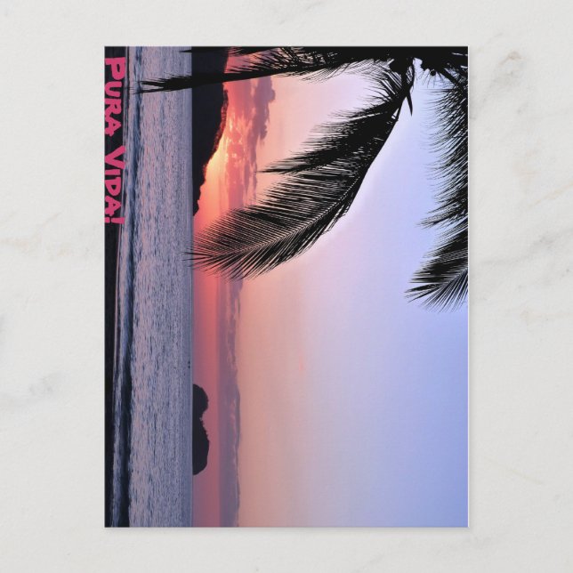 Pura Vida! Postkarte (Vorderseite)