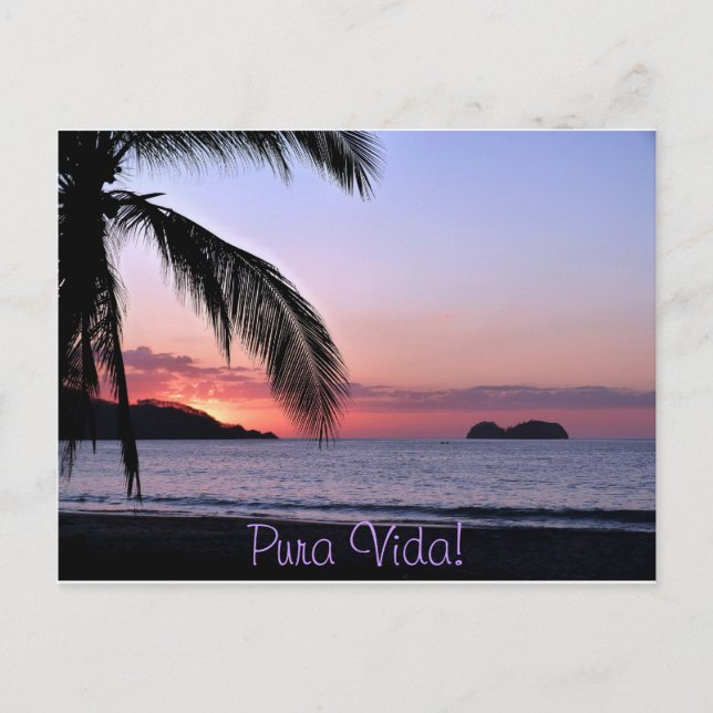 Pura Vida! Postkarte (Vorderseite)