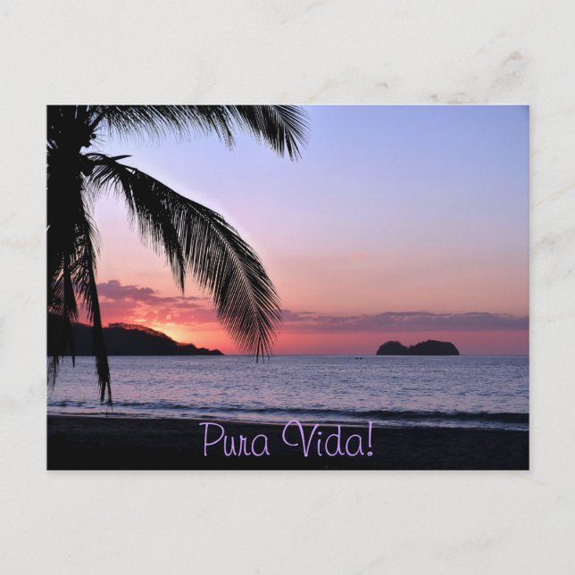 Pura Vida! Postkarte (Vorderseite)