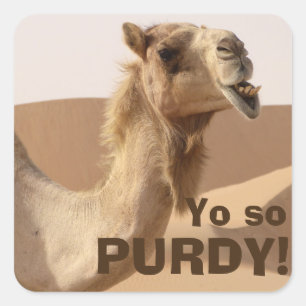 Purdy Camel Quadratischer Aufkleber