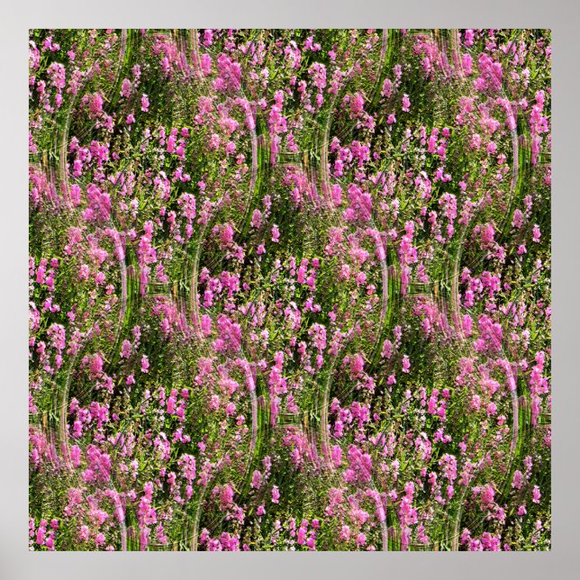 Purdy in Pink.... Poster (Vorne)