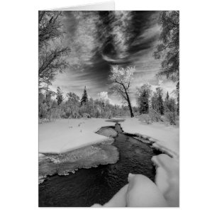 Pure Campbell Creek