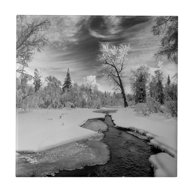 Pure Campbell Creek Fliese (Vorderseite)