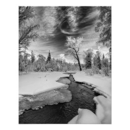 Pure Campbell Creek Fotodruck