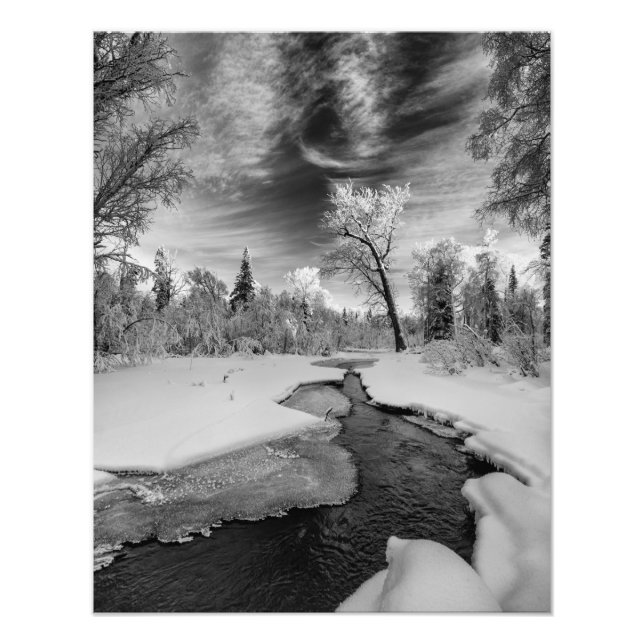 Pure Campbell Creek Fotodruck (Vorne)