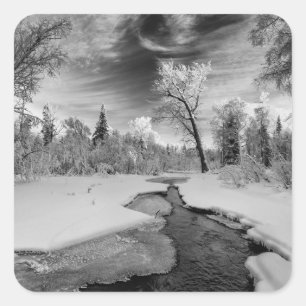 Pure Campbell Creek Quadratischer Aufkleber