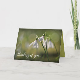 Pure White Snowdrops in Spring Karte