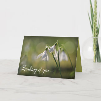Pure White Snowdrops in Spring Karte