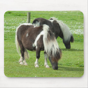Purebred Shetland Paint Ponies Mousepad