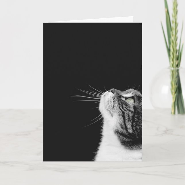 Purfect Karte (Vorderseite)