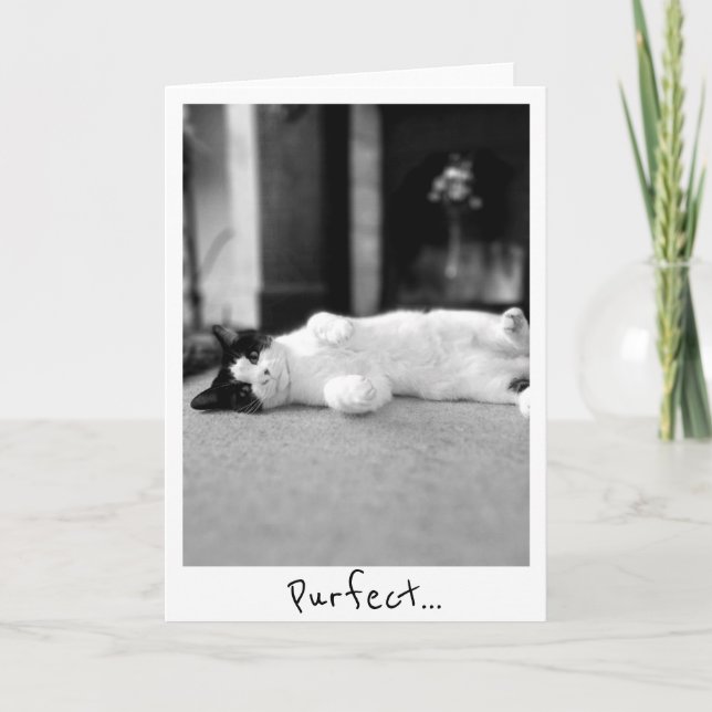 Purfect Kitty Greetings Card Karte (Vorderseite)