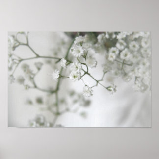 Purity Canvas Print Poster