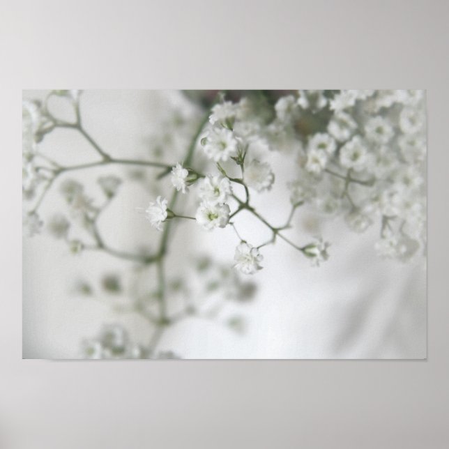 Purity Canvas Print Poster (Vorne)