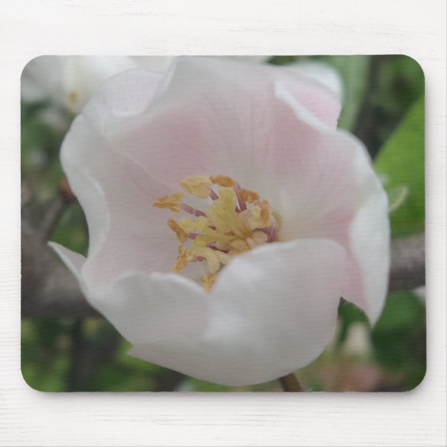 Purity Mousepad (Vorne)