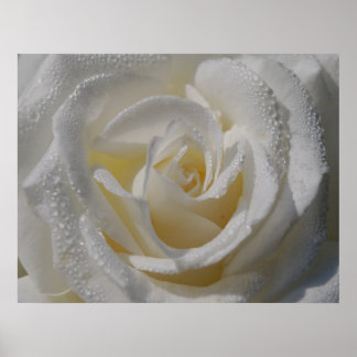 'Purity'-Plakat Poster