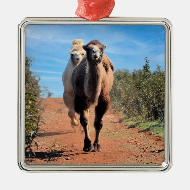 Purnimama & Delany Ornament Aus Metall (Vorne)