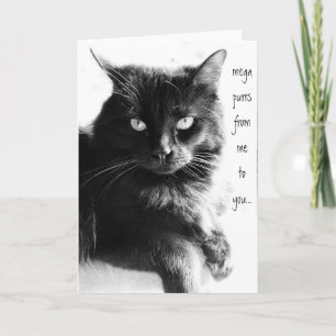 PURONS DE MOI À VOUS, cartes de notes de chat noir