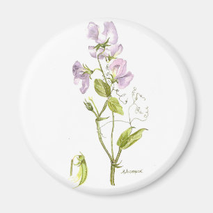 Purple and green sweet pea magnet