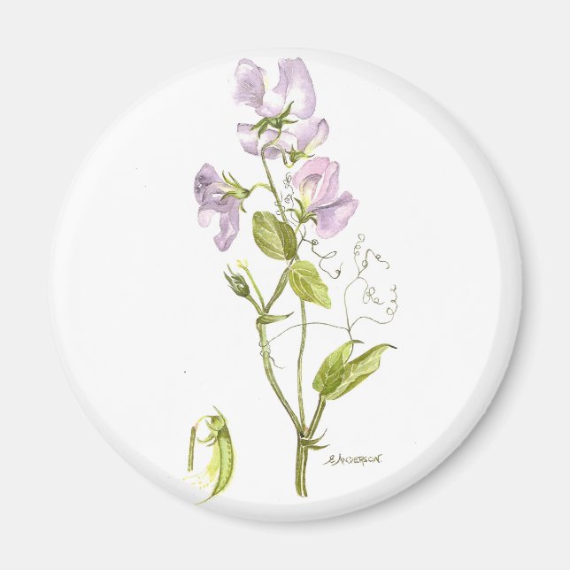 Purple and green sweet pea magnet (Vorne)