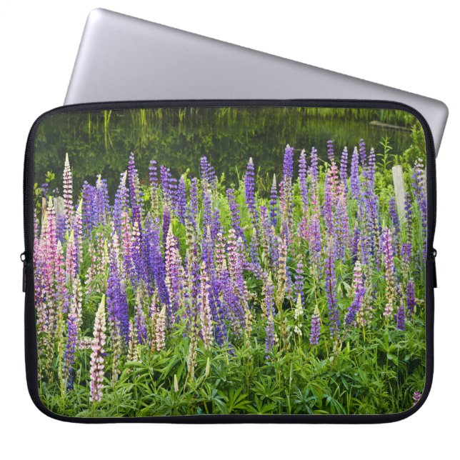 Purple and Pink Lupine Floral Photography Laptopschutzhülle (Vorderseite)