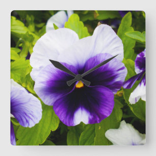 Purple And White Pansies, Quadratische Wanduhr