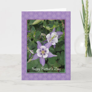 Purple Aquilegia, Columbine Carte de fête des mère